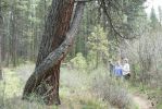 PICTURES/Walk Along The Metolius River/t_Us On Trail2.JPG